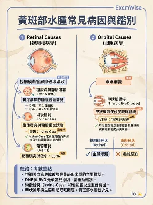 驗光師 - 視網膜疾病 - AI 圖文解析預覽