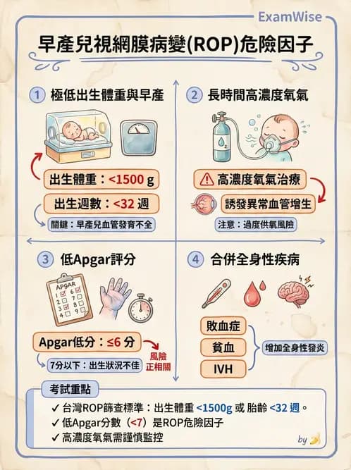 驗光師 - 視網膜疾病 - AI 圖文解析預覽