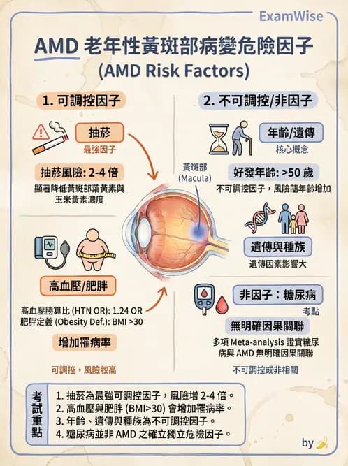 驗光師 - 老年性黃斑部及眼部退化疾病 - AI 圖文解析預覽