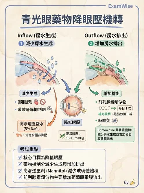 驗光師 - 青光眼診斷與治療 - AI 圖文解析預覽