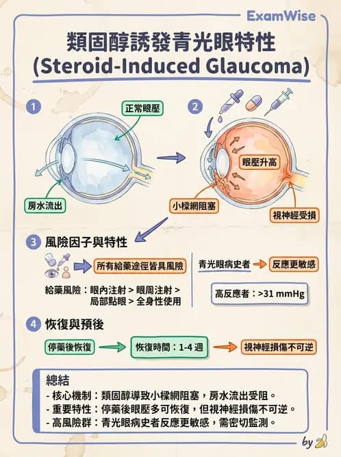 驗光師 - 青光眼分類、病因與危險因子 - AI 圖文解析預覽