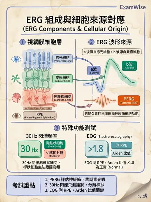 驗光師 - 視覺生理與檢查 - AI 圖文解析預覽