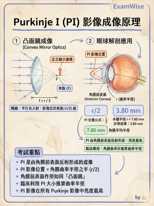 驗光師 - 眼球屈光系統基本原理 - AI 圖文解析預覽