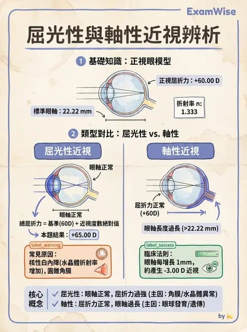 驗光師 - 模型眼屈光計算與屈光不正 - AI 圖文解析預覽