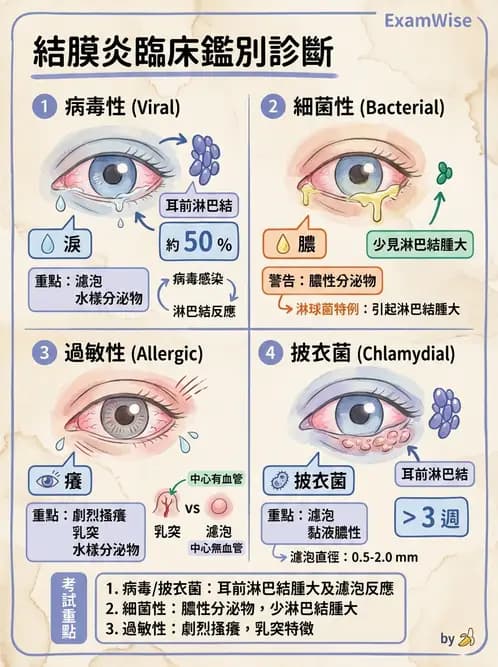 驗光師 - 感染性角結膜炎 - AI 圖文解析預覽