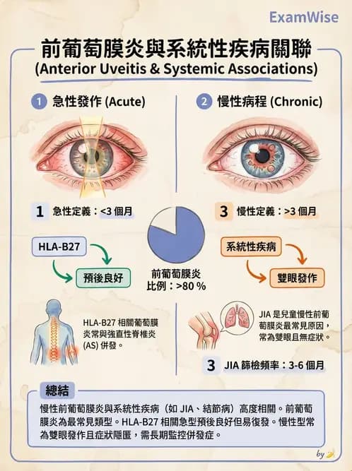驗光師 - 葡萄膜炎與免疫相關眼病變 - AI 圖文解析預覽