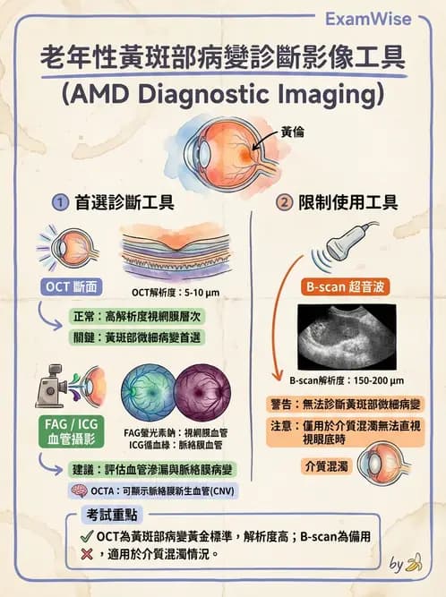 驗光師 - 老年性黃斑部及眼部退化疾病 - AI 圖文解析預覽