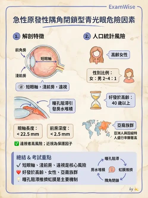 驗光師 - 青光眼分類、病因與危險因子 - AI 圖文解析預覽