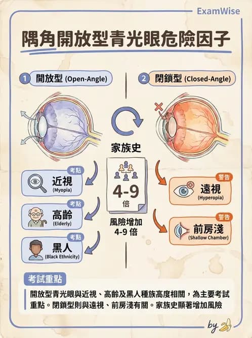 驗光師 - 青光眼分類、病因與危險因子 - AI 圖文解析預覽