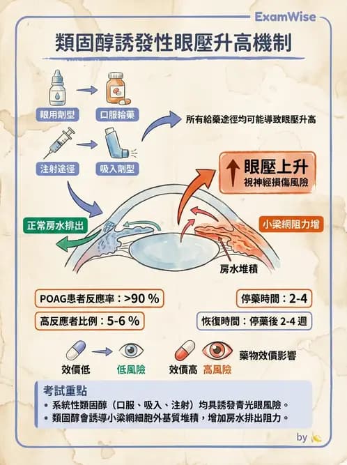 驗光師 - 青光眼分類、病因與危險因子 - AI 圖文解析預覽