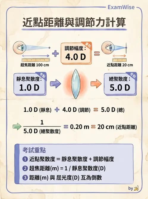 驗光師 - 調節機制與調節量計算 - AI 圖文解析預覽