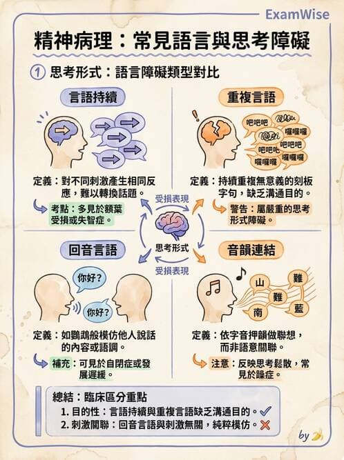 護理師 - 思覺失調症護理 - AI 圖文解析預覽