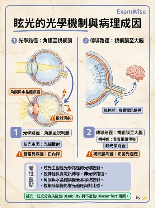 驗光師 - 對比敏感度與色覺檢查 - AI 圖文解析預覽