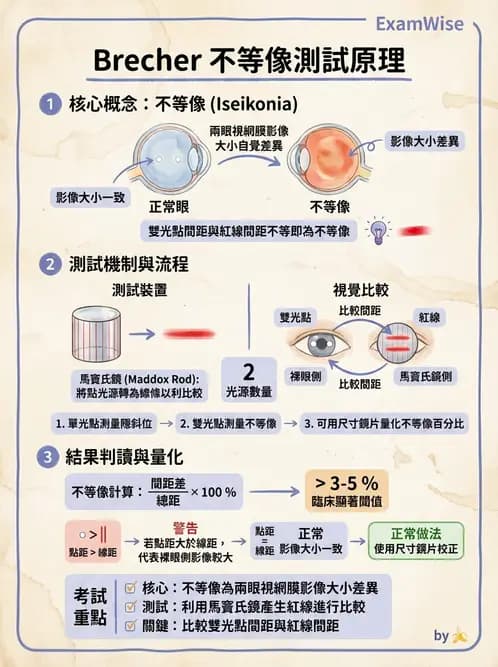 驗光師 - 隱斜位測量方法 - AI 圖文解析預覽