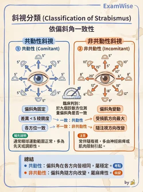 驗光師 - 斜視 - AI 圖文解析預覽