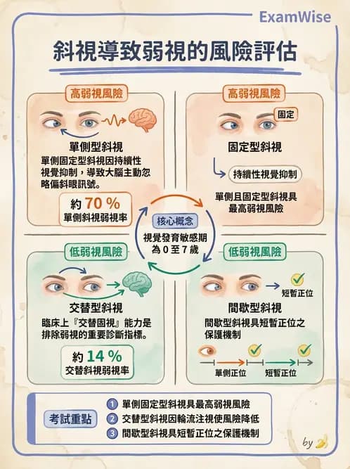 驗光師 - 斜視 - AI 圖文解析預覽