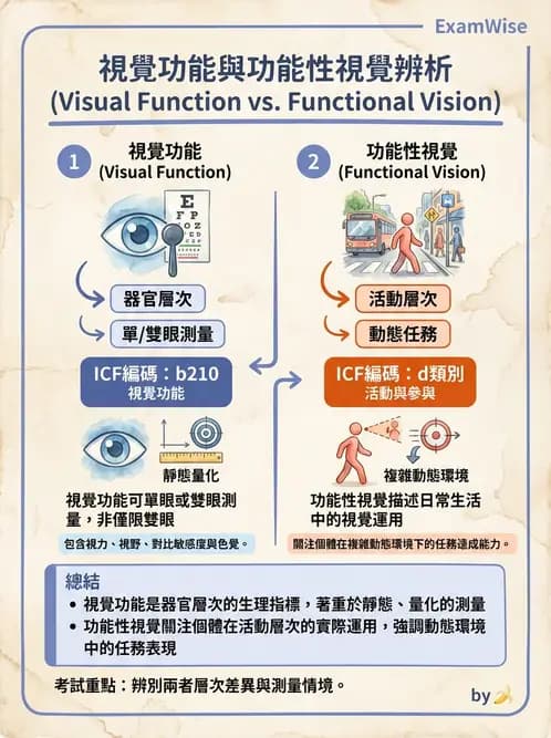 驗光師 - 功能性評估、對比敏感度與色覺 - AI 圖文解析預覽