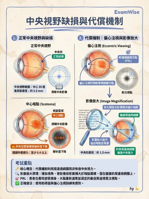 驗光師 - 低視力輔具臨床應用與選配 - AI 圖文解析預覽