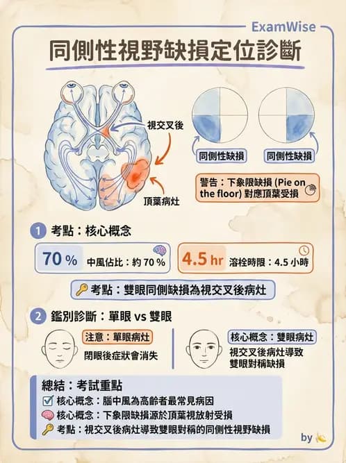 驗光師 - 斜弱視與神經眼科 - AI 圖文解析預覽