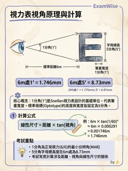驗光師 - 視力表與視力量測 - AI 圖文解析預覽