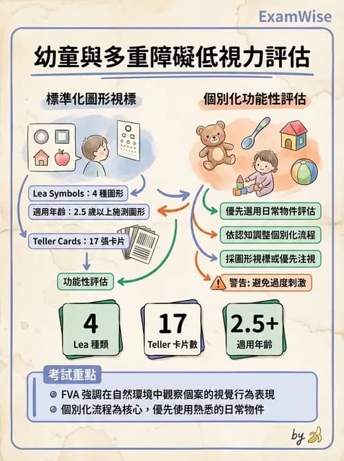 驗光師 - 視野評估與特殊族群檢查 - AI 圖文解析預覽
