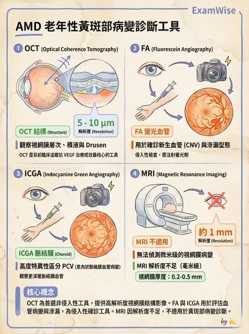 驗光師 - 老年性黃斑部及眼部退化疾病 - AI 圖文解析預覽