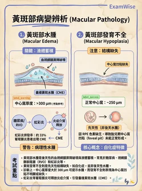 驗光師 - 視網膜疾病 - AI 圖文解析預覽