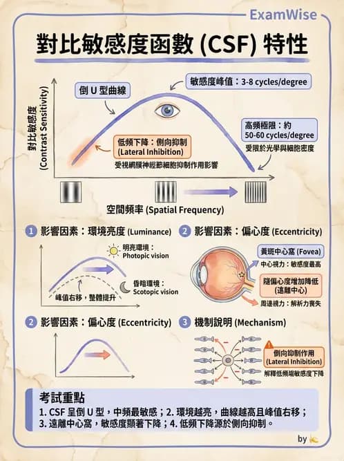 驗光師 - 視覺生理與檢查 - AI 圖文解析預覽