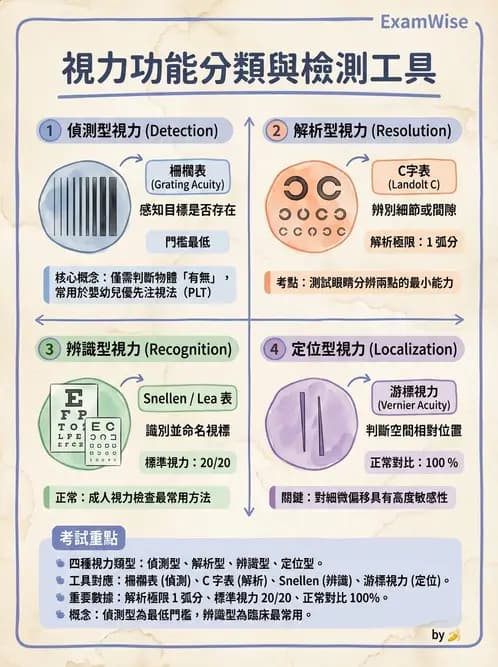 驗光師 - 視力檢查與視力值換算 - AI 圖文解析預覽