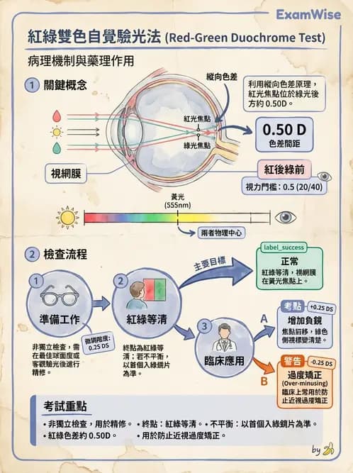 驗光師 - 自覺式驗光流程與球面度判讀 - AI 圖文解析預覽