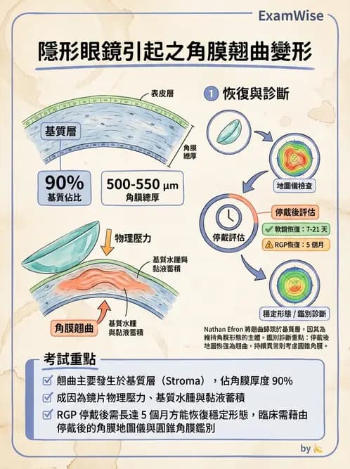驗光師 - 角膜缺氧、水腫與變形 - AI 圖文解析預覽