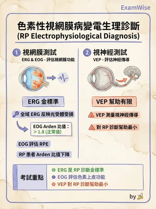 驗光師 - 遺傳性視網膜及色素疾病 - AI 圖文解析預覽