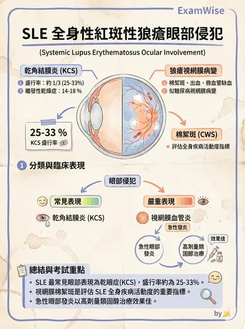 驗光師 - 葡萄膜炎與免疫相關眼病變 - AI 圖文解析預覽