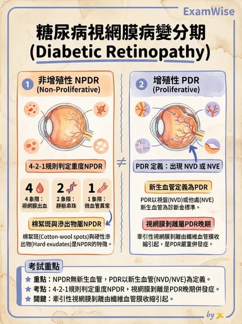 驗光師 - 糖尿病眼部病變 - AI 圖文解析預覽