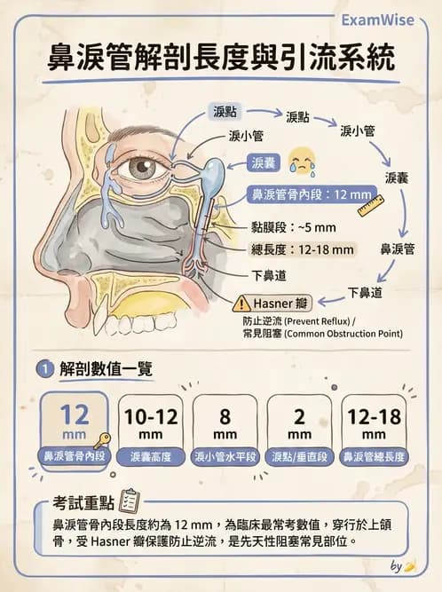 驗光師 - 眼附屬系統 - AI 圖文解析預覽