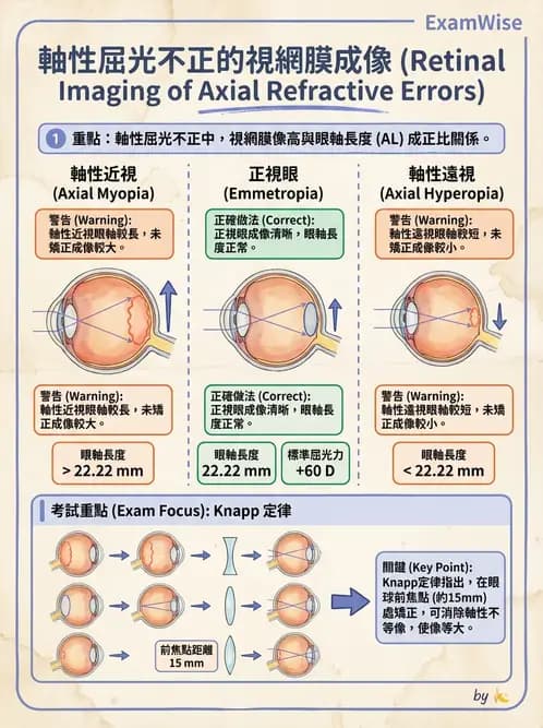 驗光師 - 散光焦線、面鏡與屈光不正成像 - AI 圖文解析預覽