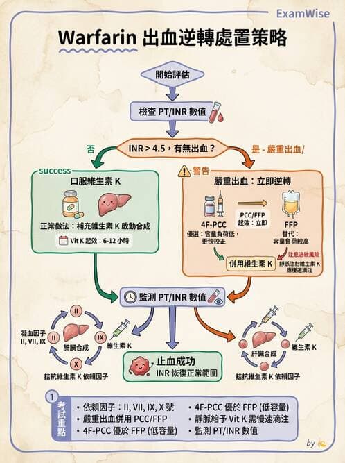 護理師 - 心臟藥物與抗血栓劑 - AI 圖文解析預覽
