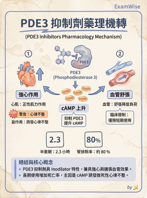 護理師 - 心臟藥物與抗血栓劑 - AI 圖文解析預覽