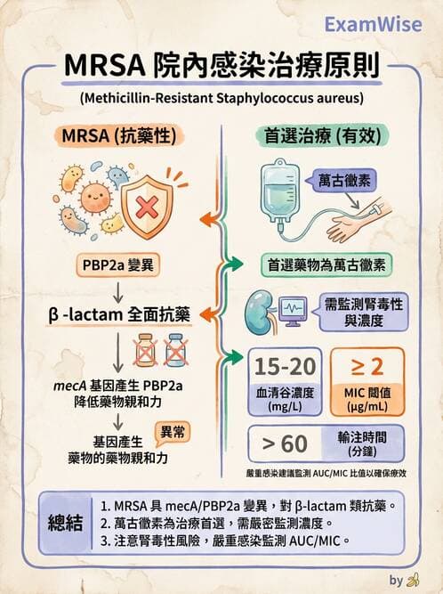 護理師 - 革蘭氏陽性細菌 - AI 圖文解析預覽