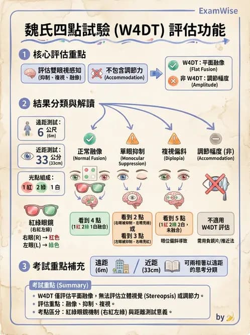 驗光師 - 調節功能與立體視融像評估 - AI 圖文解析預覽
