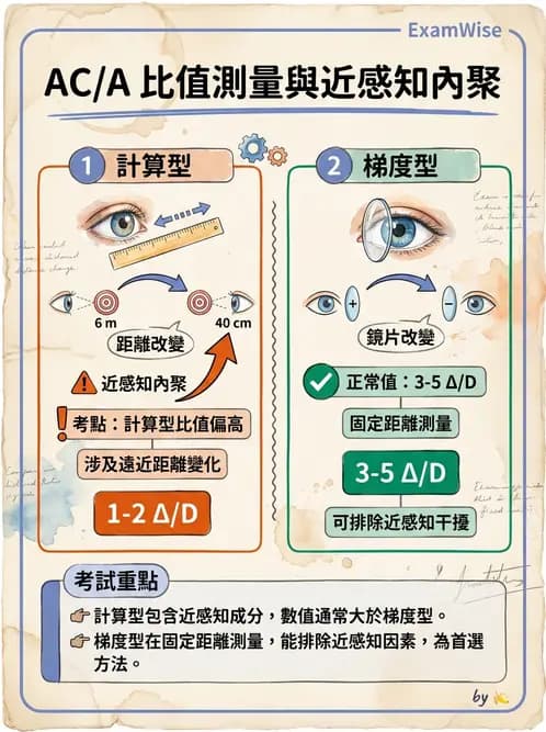 驗光師 - 調節性內聚力與聚散功能檢測 - AI 圖文解析預覽