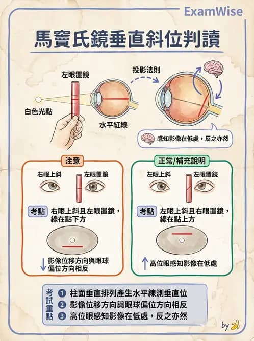 驗光師 - 隱斜位測量方法 - AI 圖文解析預覽