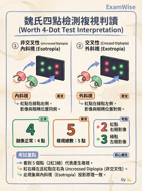驗光師 - 調節功能與立體視融像評估 - AI 圖文解析預覽