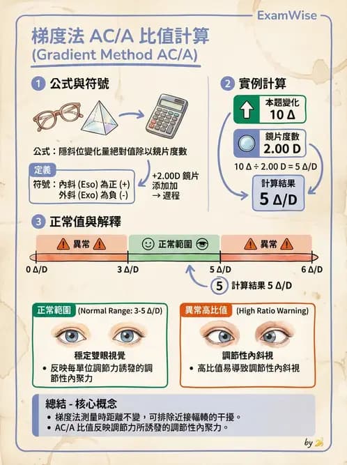 驗光師 - 調節性內聚力與聚散功能檢測 - AI 圖文解析預覽