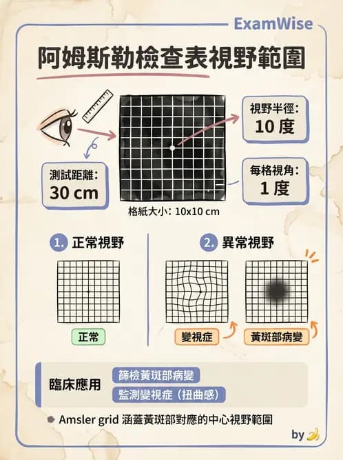 驗光師 - 視野評估與特殊族群檢查 - AI 圖文解析預覽