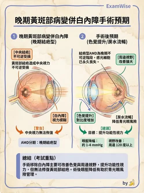 驗光師 - 水晶體疾病 - AI 圖文解析預覽