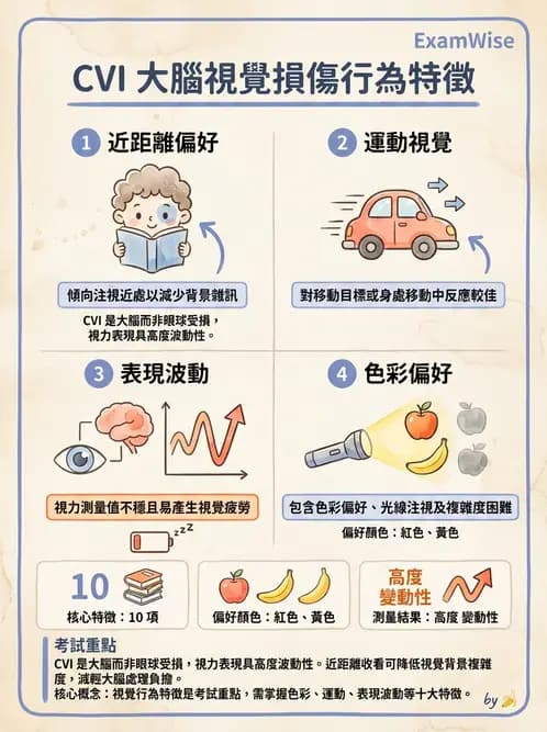 驗光師 - 視野評估與特殊族群檢查 - AI 圖文解析預覽