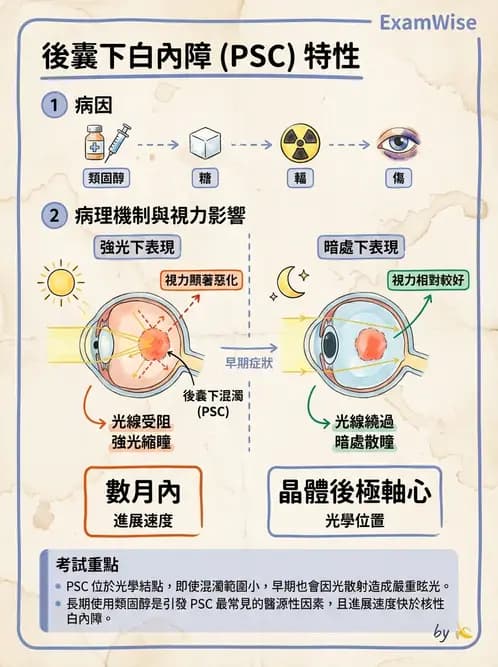驗光師 - 水晶體疾病 - AI 圖文解析預覽
