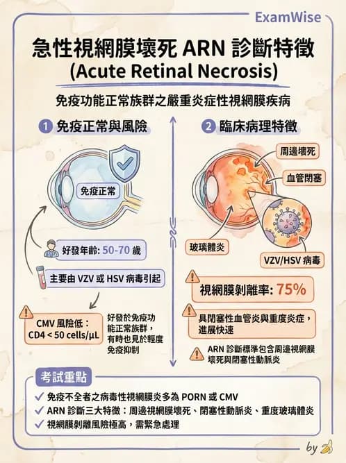 驗光師 - 葡萄膜炎與免疫相關眼病變 - AI 圖文解析預覽