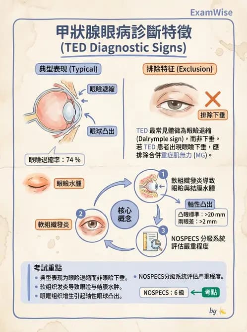 驗光師 - 血管阻塞、甲狀腺眼疾與其他全身性眼病變 - AI 圖文解析預覽